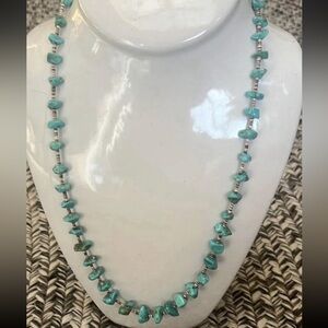 ❤️Vintage Native American Turquoise & Heishi Shell Necklace 27 inches